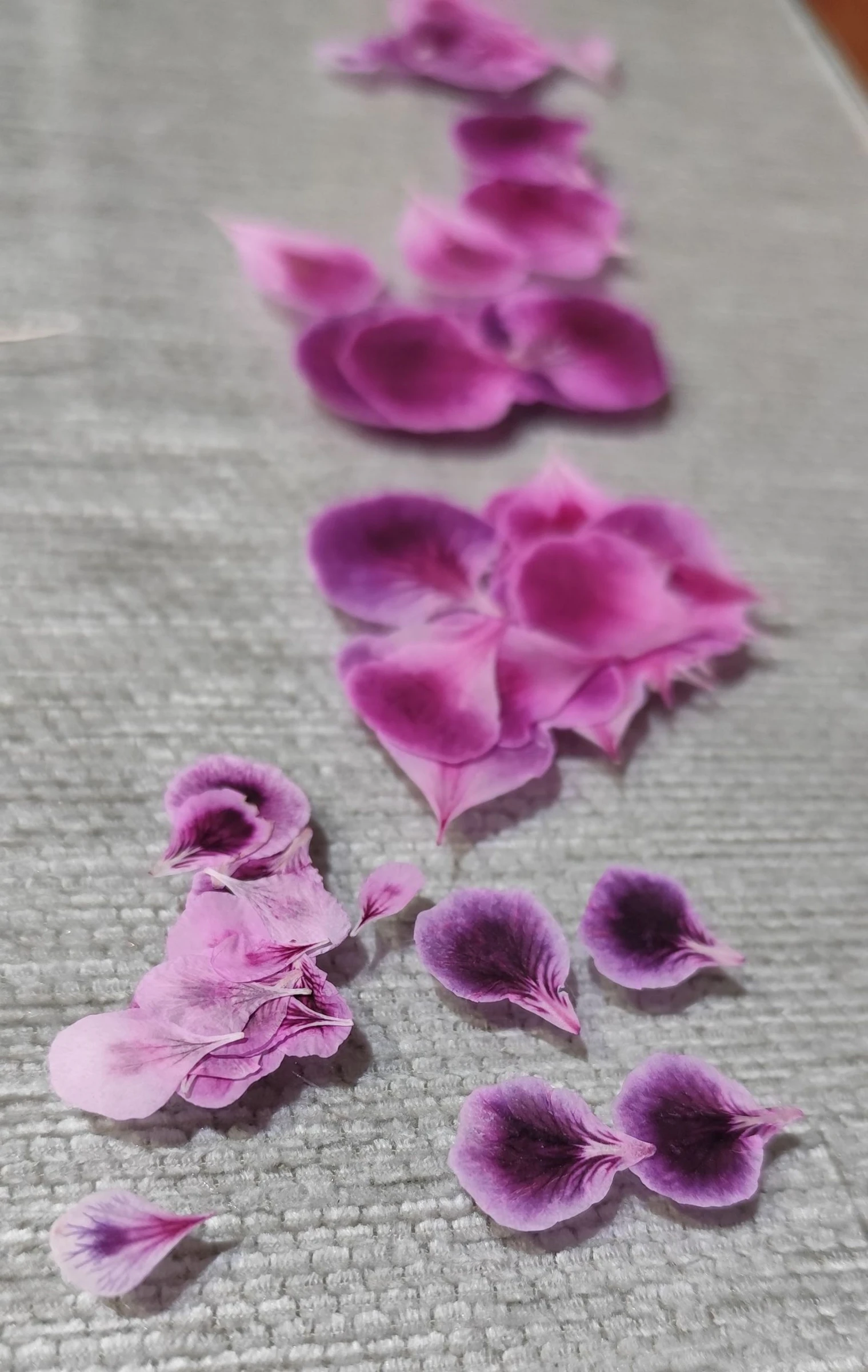 Oorbellen #Chinees geranium – photo 3